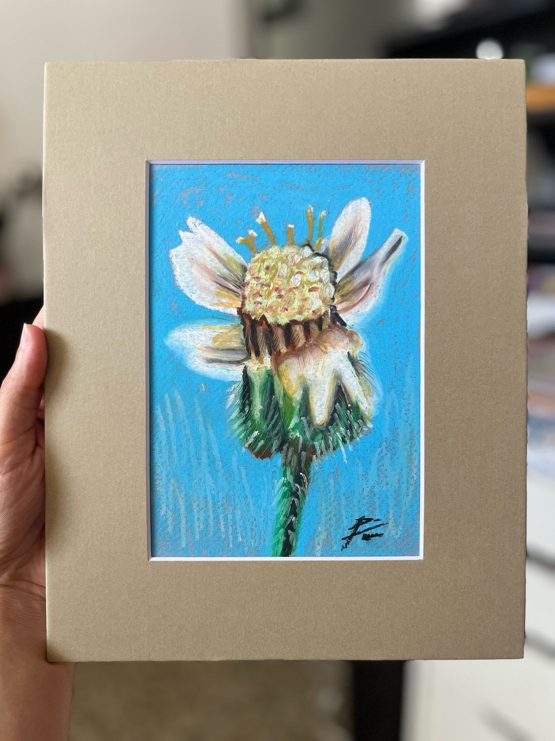 Pancha la flor