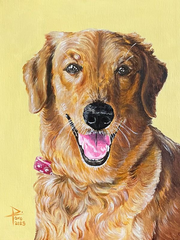 Artes de mascota