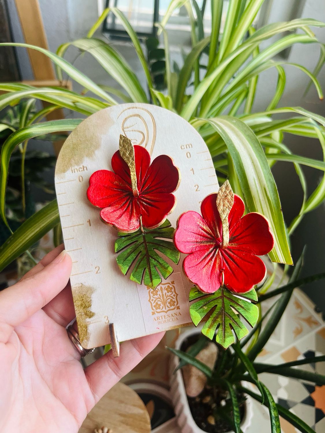 Maga tropical
