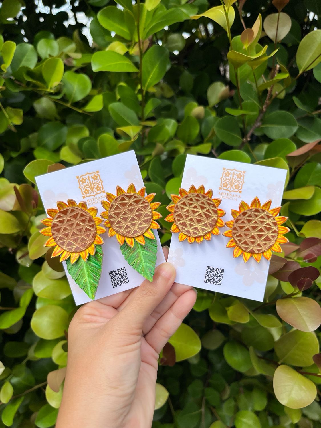 Girasol mediana