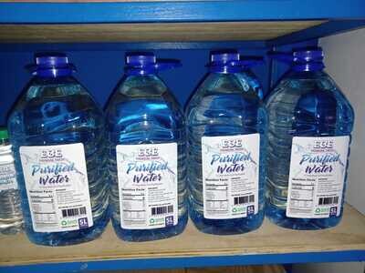 5 L  bottle purifier  water