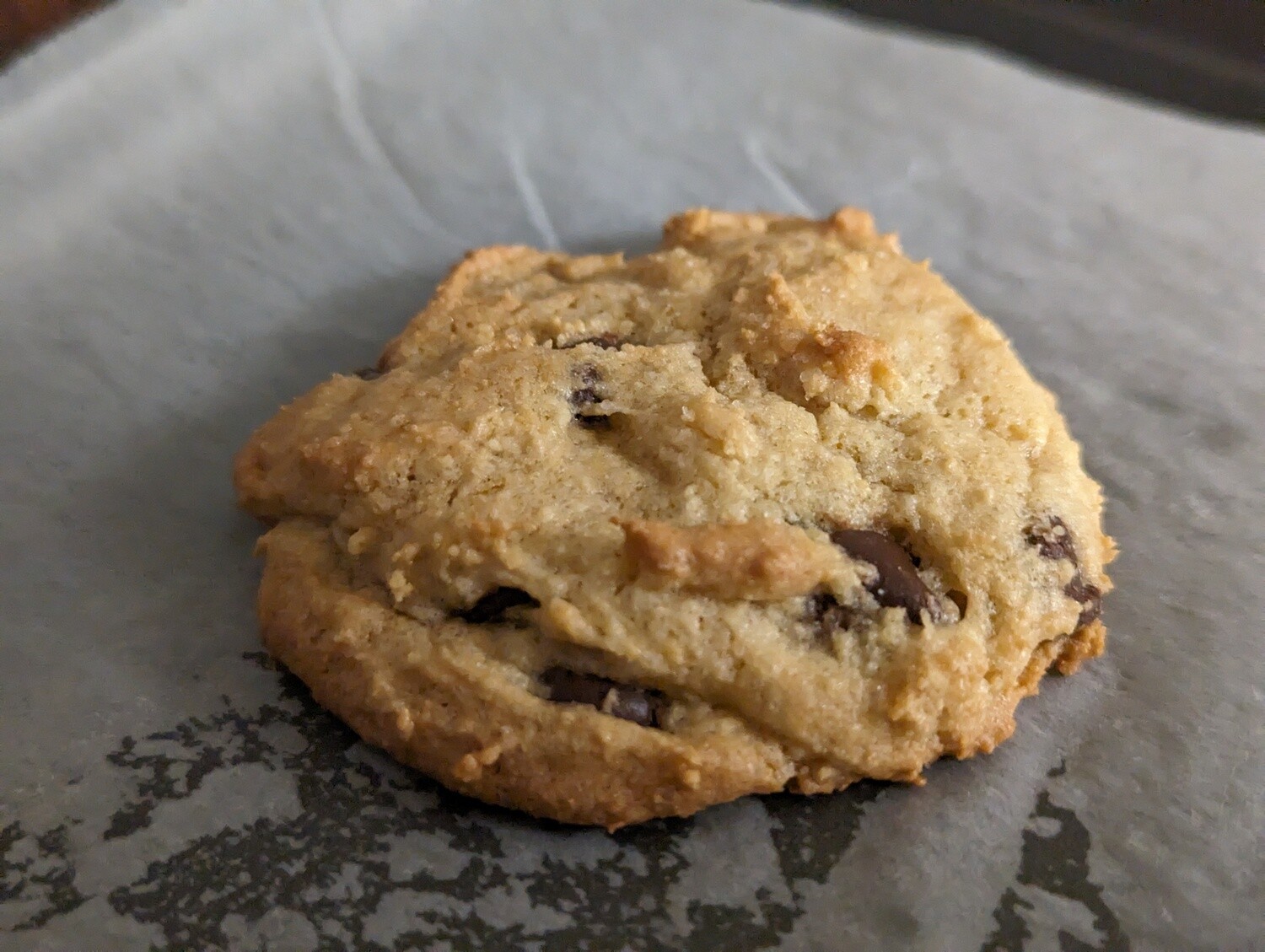 Delta 8 Chocolate Chip Cookie (One)