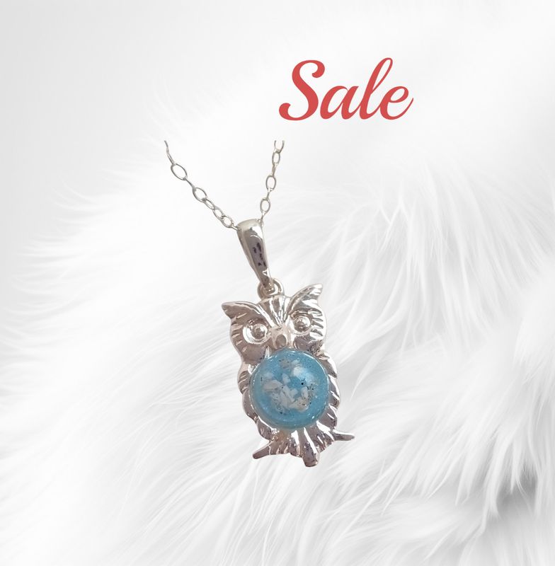 Sterling Silver owl pendant and chain to contain a stone encapsulating the hair, fur or ashes you send me.  Memorial Jewellery Keepsake Jewellery. SALE