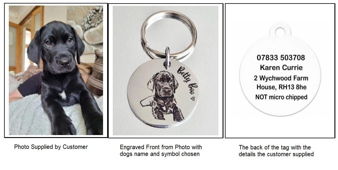 Personalised photo tag for Dogs Personalised photo tag for Dogs