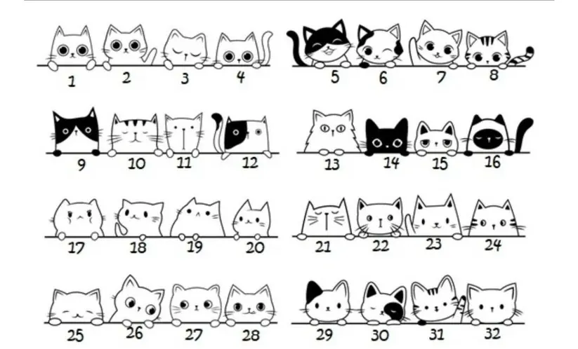 Personalised Cat Name tags