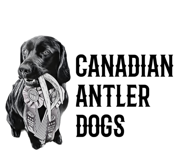 Canadian Antler Dogs
