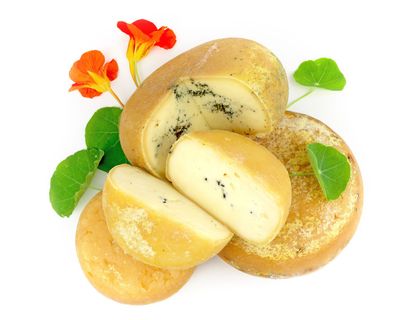 Lütte Meierie verschiedene Sorten Käse