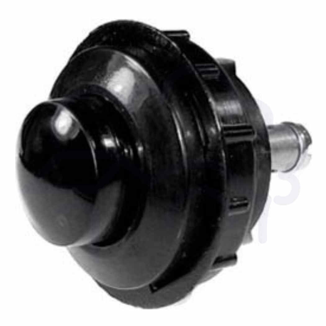 Push on button switch