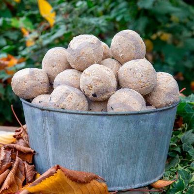 20 Fat balls