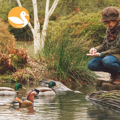 Ducky Dips floating duck & swan food Ducky Dips floating duck & swan food