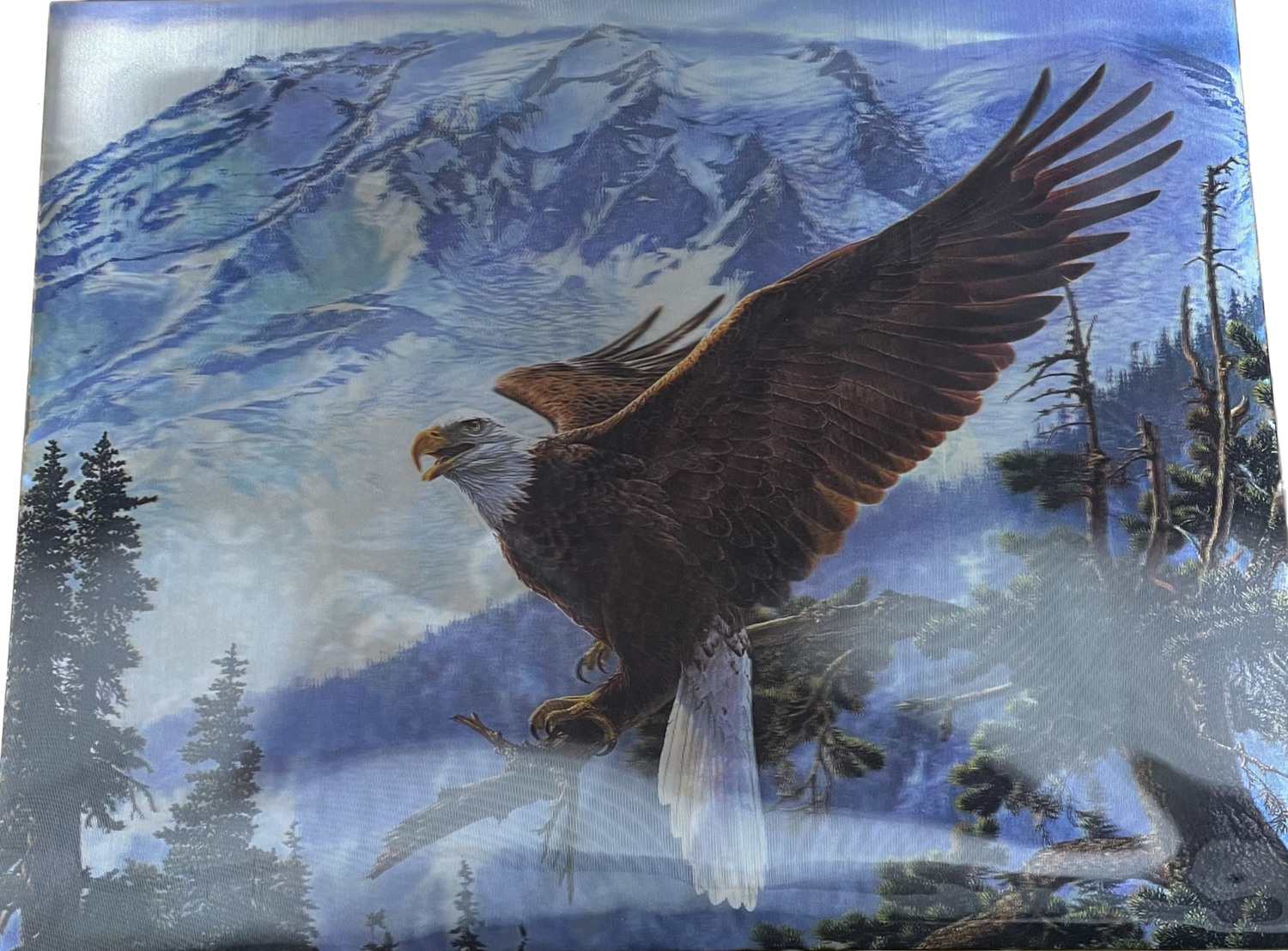 3-D Wall Art, Style: Bald Eagle