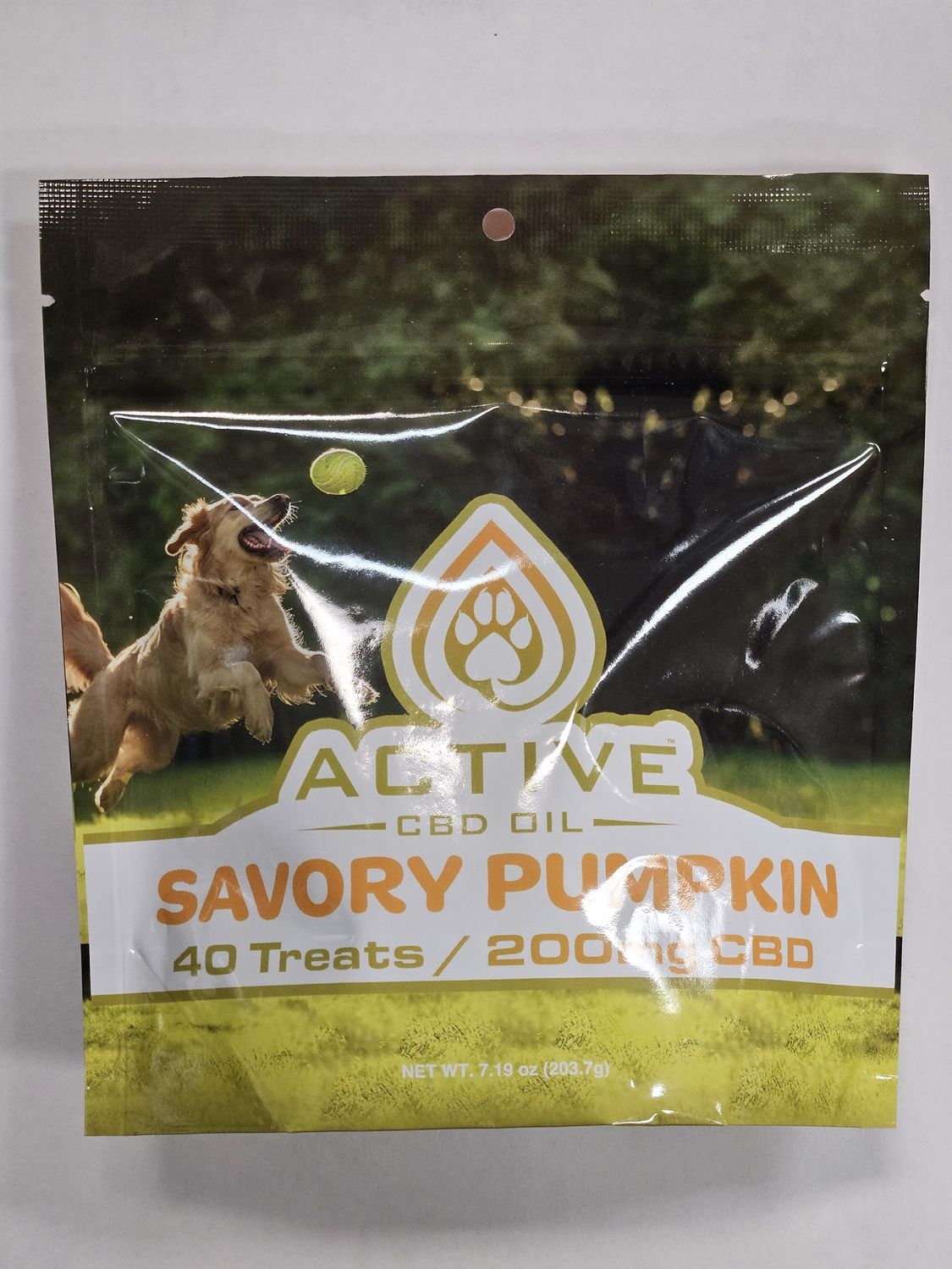 Savory Pumpkin Dog Treats
