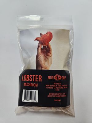 Dried Red Lobster Mushroom