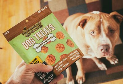 Pet Products
