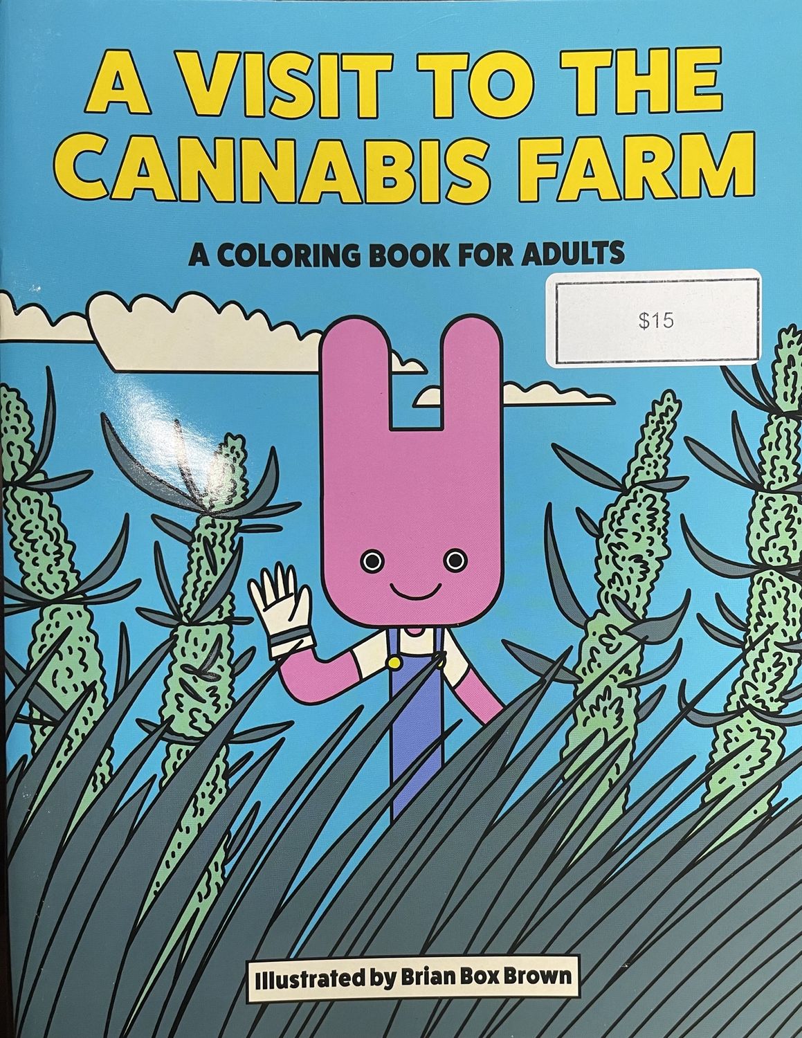 Adult Coloring Book