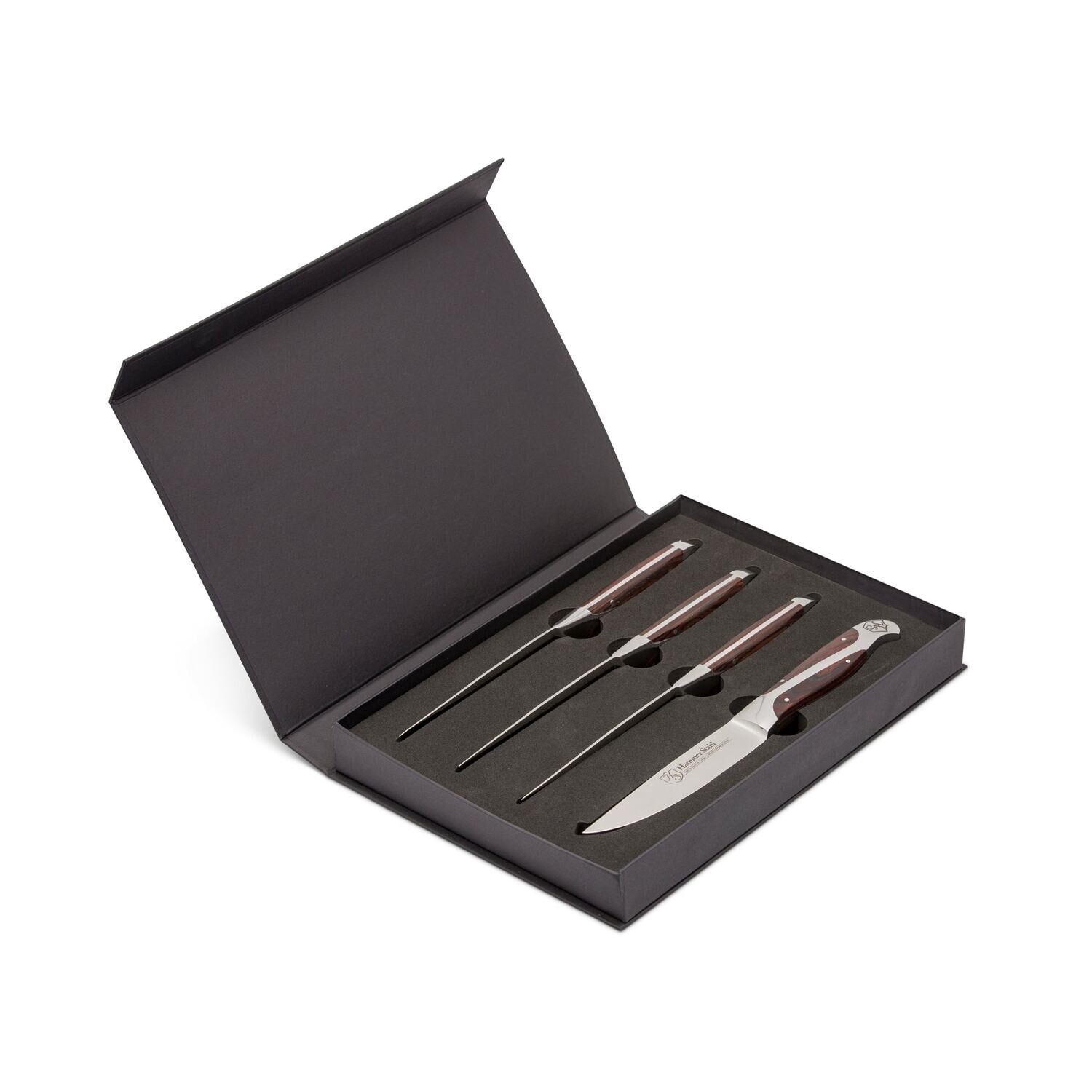 4 PIECE ROBUST STEAK KNIFE SET - HS-6447