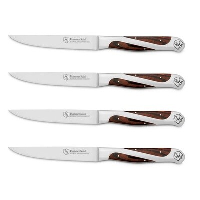 4PC STEAK KNIFE SET - HS-6443