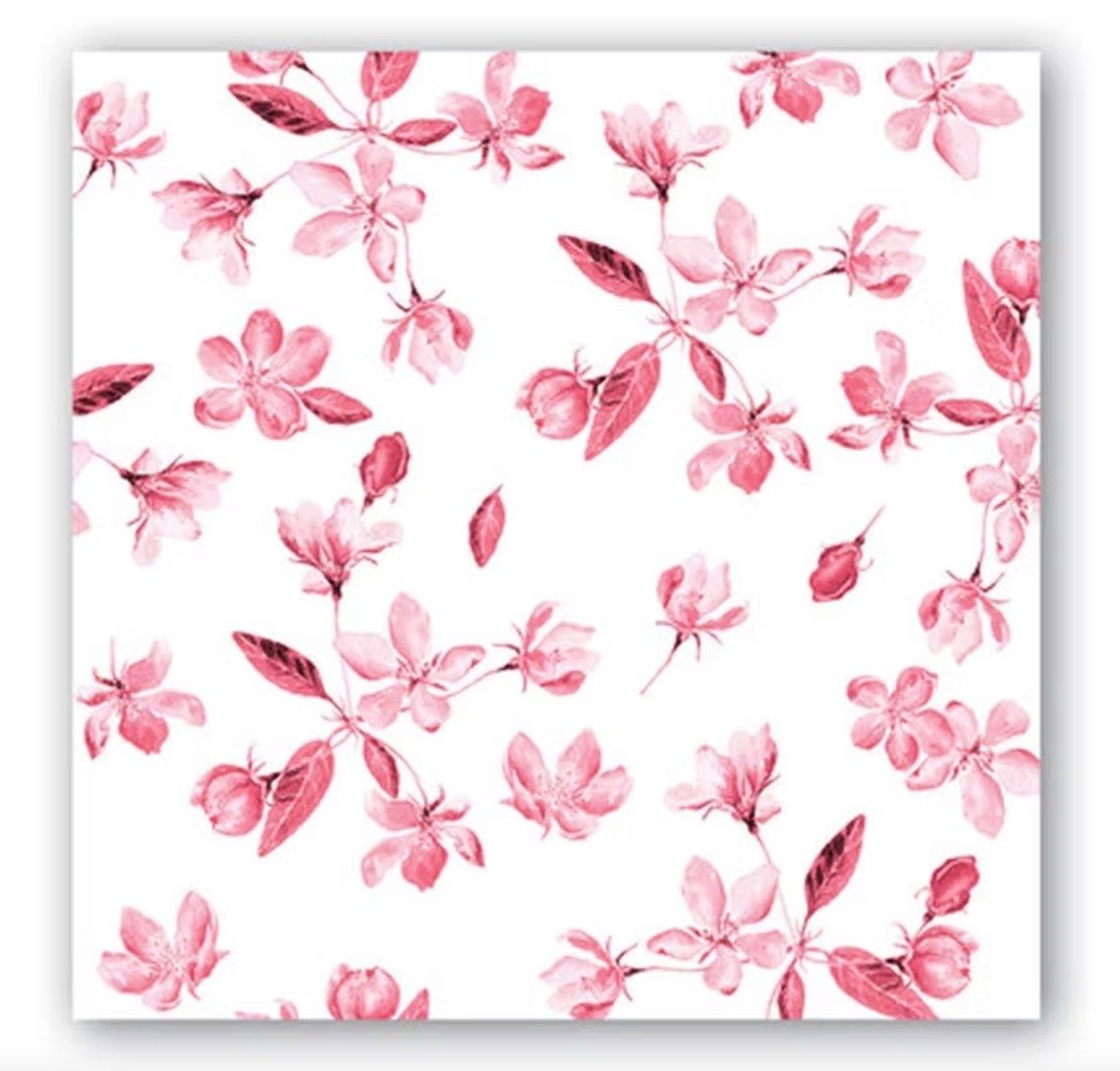 MDW ROUGE COCKTAIL NAPKINS - 814406