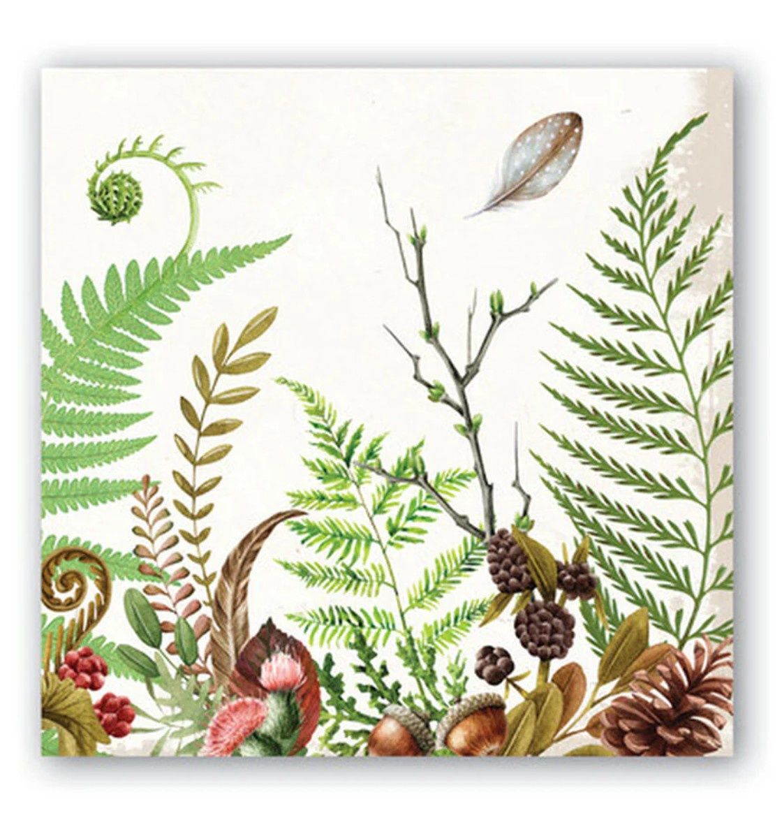 MOSS &amp; OAK COCKTAIL NAPKINS - 814397