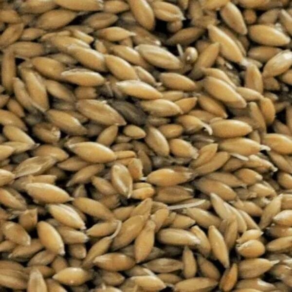 Oat Malt - Thomas Fawcett per 1kg