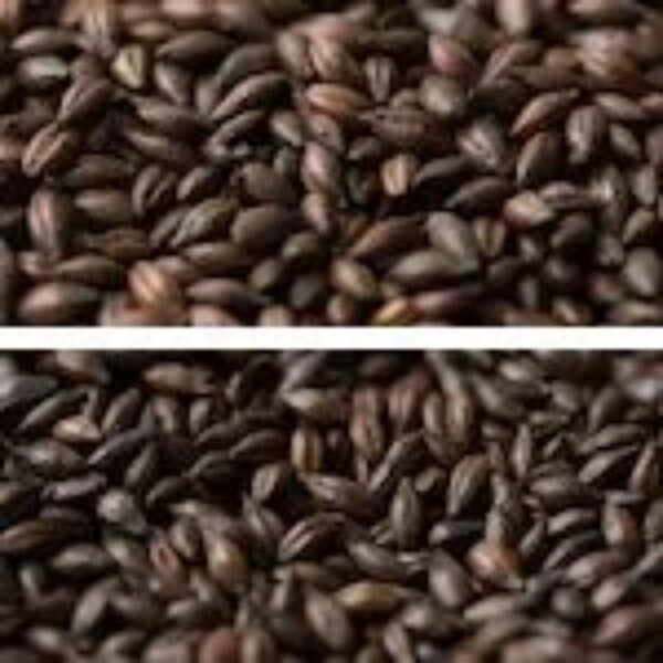 Light Chocolate - Joe White per 1kg