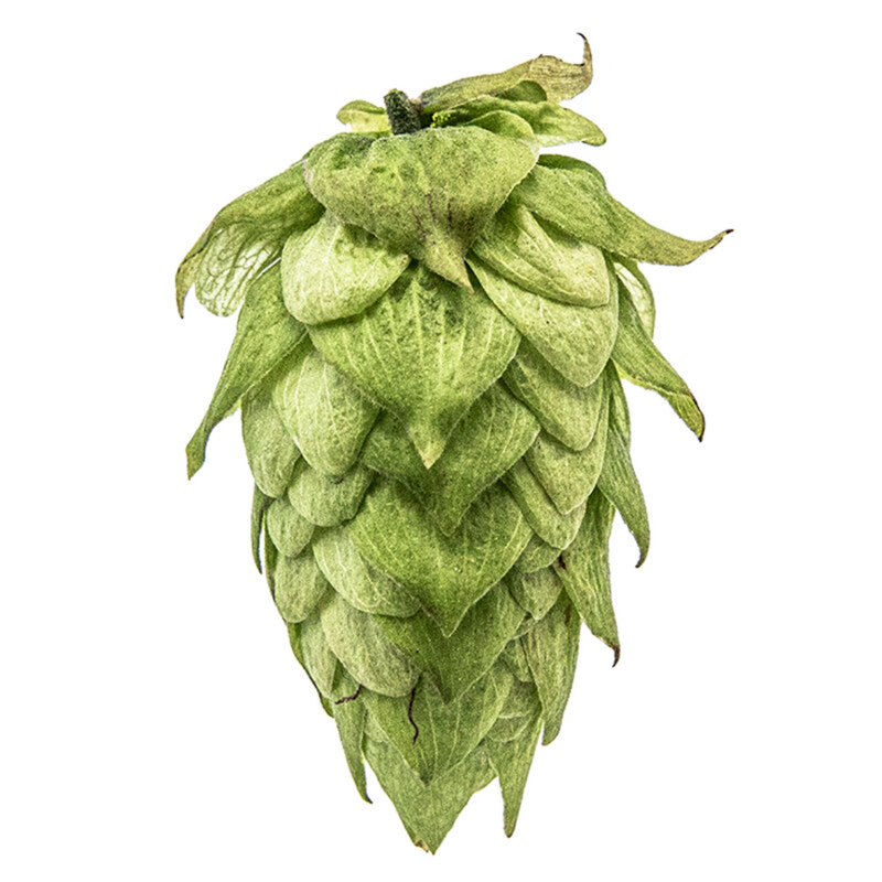 Centennial T90 11.1% AA Hop Pellets - Various Sizes