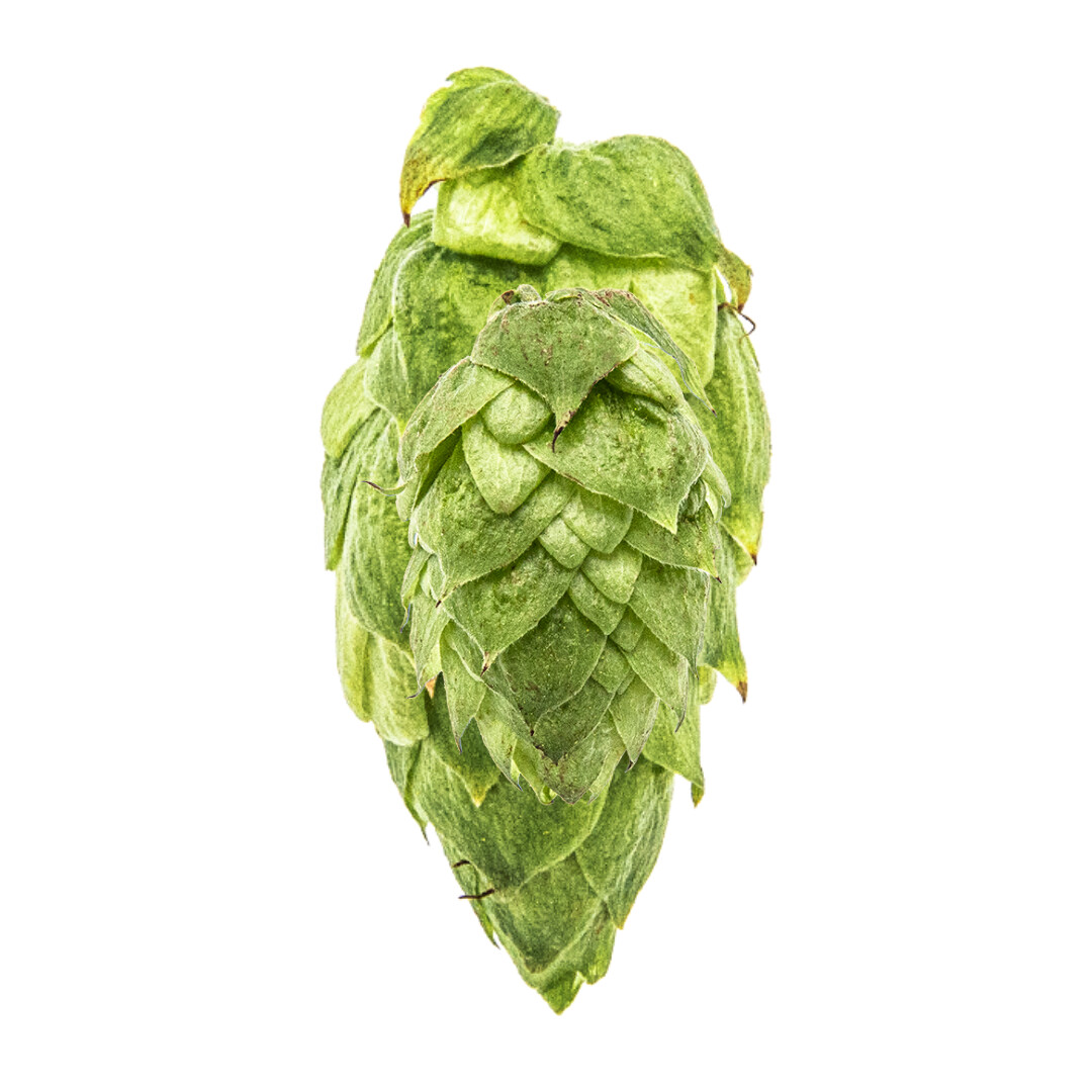 Citra T90 12% AA Hop Pellets - Various Sizes