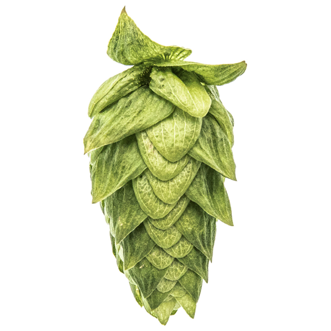 Cascade T90 5.3% AA Hop Pellets - Various Sizes