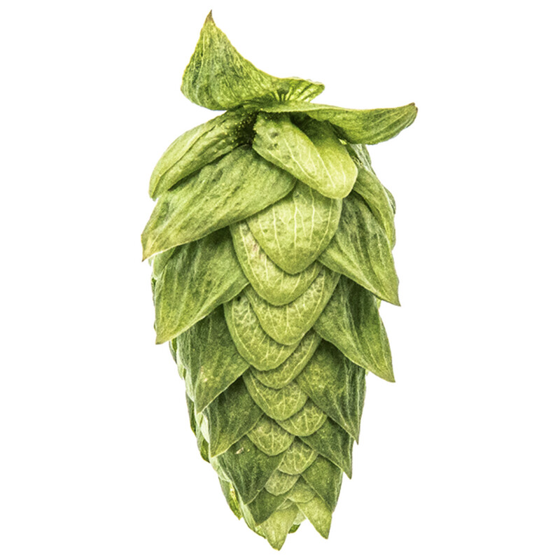 Cascade T90 5.3% AA Hop Pellets - Various Sizes