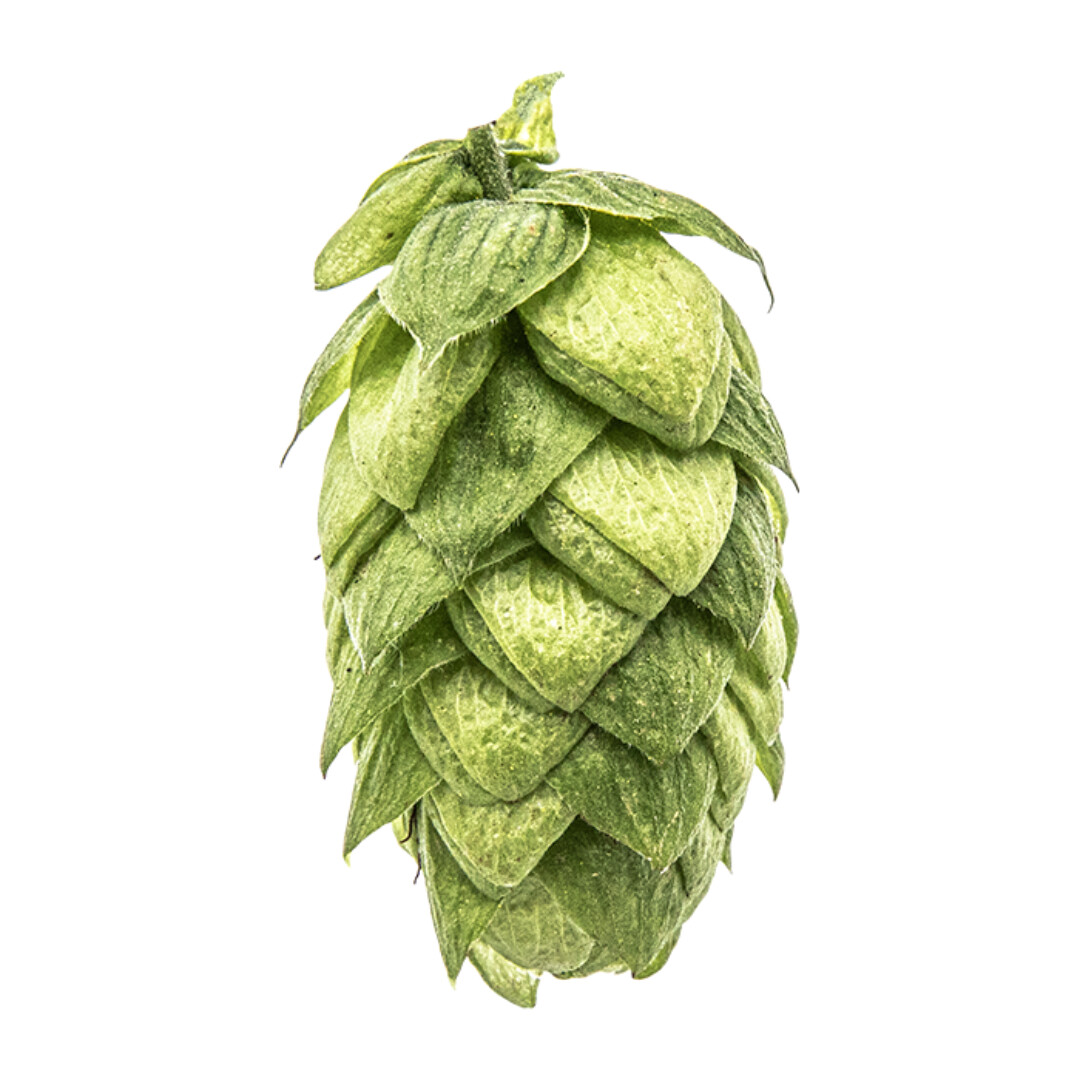 Azacca T90 12.3% AA Hop Pellets - Various Sizes