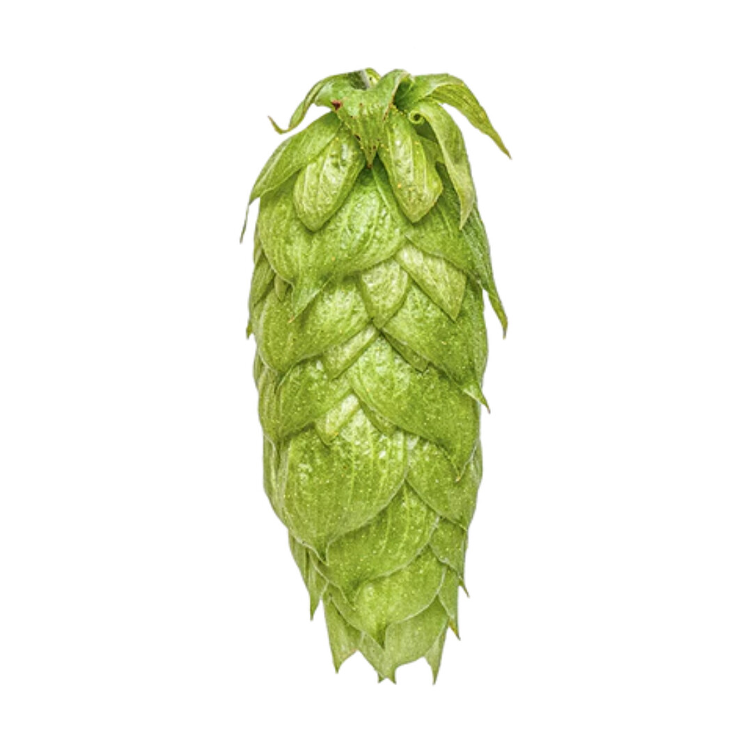 Nelson Sauvin T90 % AA Hop Pellets - Various Sizes