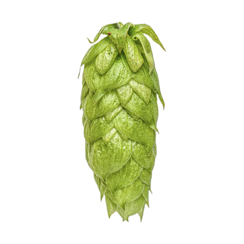 Nelson Sauvin T90 % AA Hop Pellets - Various Sizes