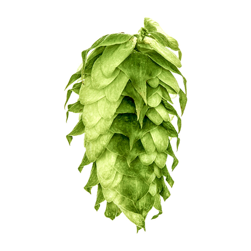 Cluster T90 9.4% AA Hop Pellets - Various Sizes
