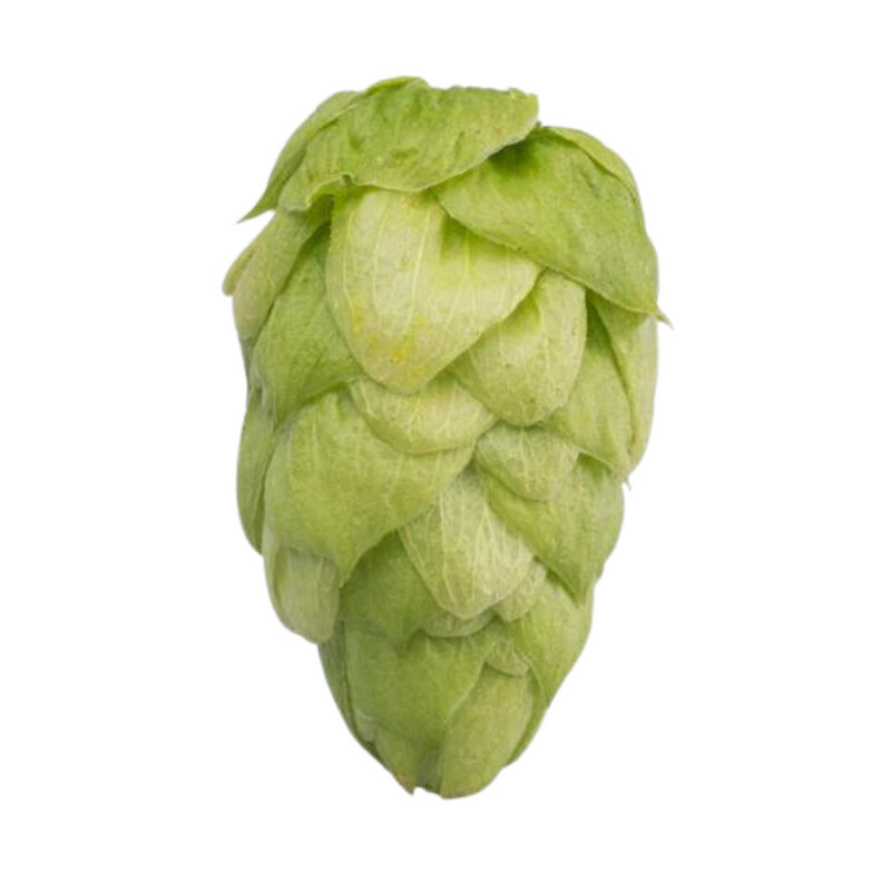 Enigma T90 18% AA Hop Pellets - Various Sizes