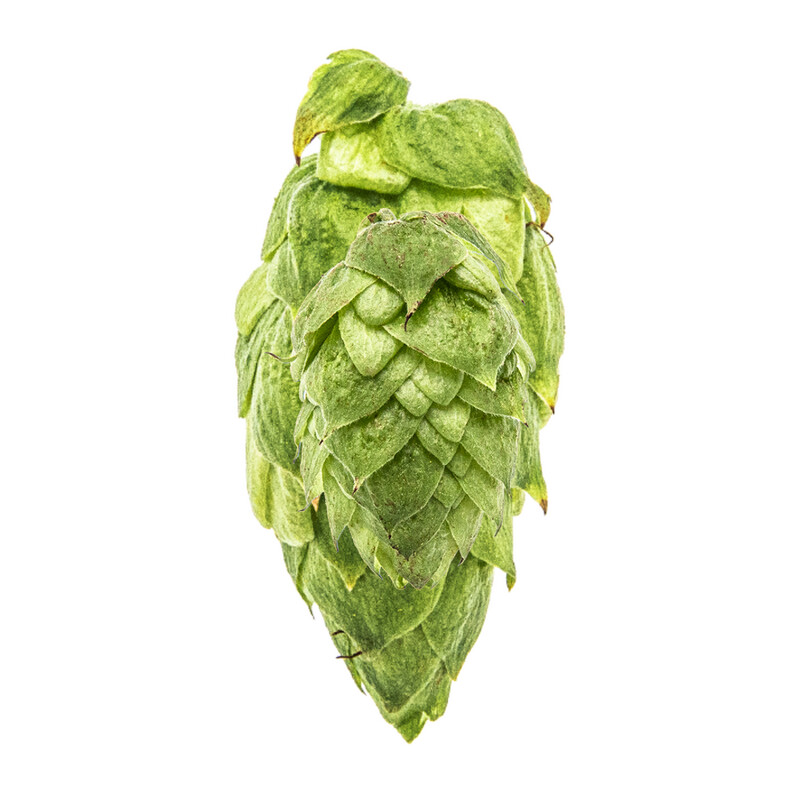 Citra T90 12% AA Hop Pellets - Various Sizes