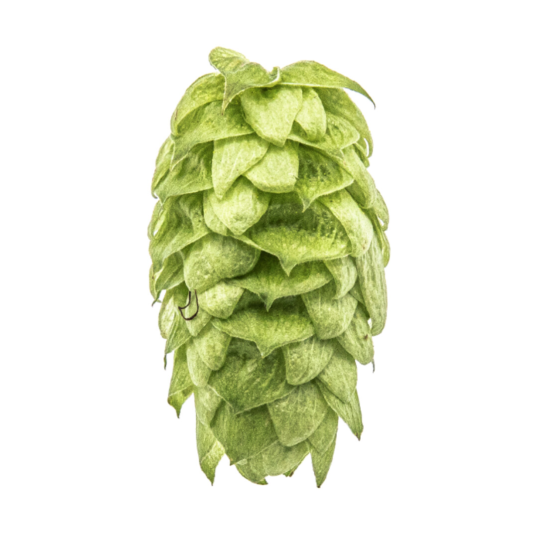 Mosaic T90 11.8% AA Hop Pellets - Various Sizes