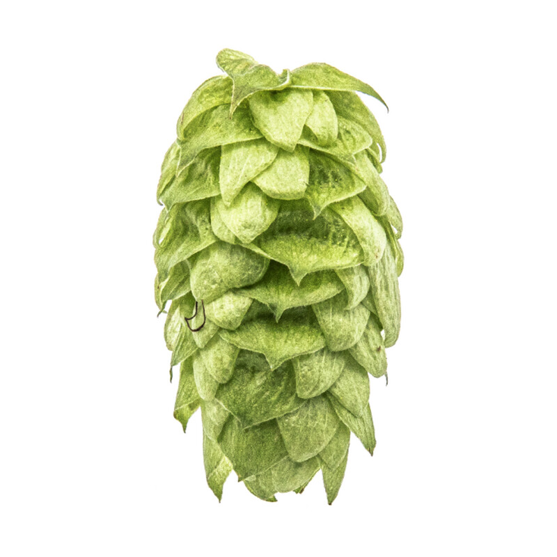 Mosaic T90 11.8% AA Hop Pellets - Various Sizes