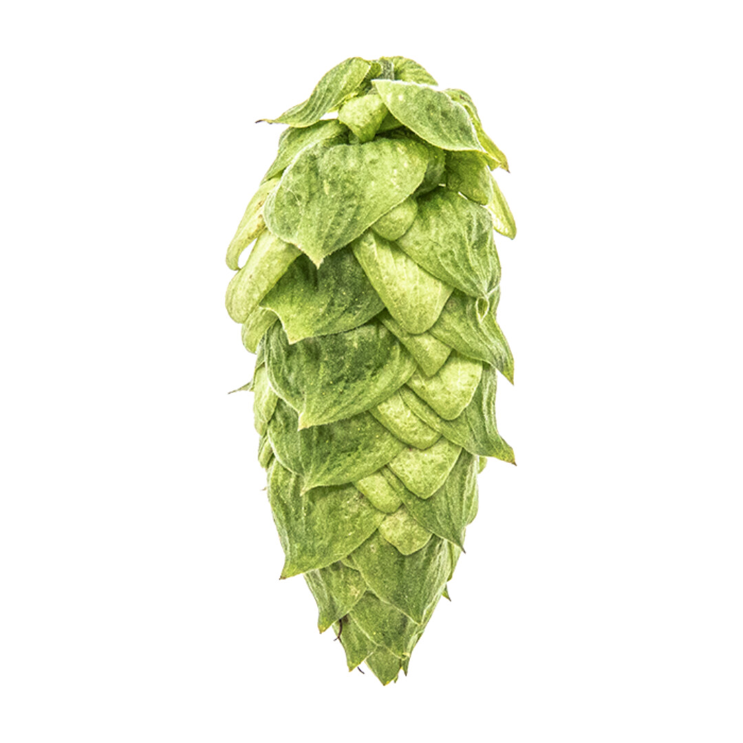 Warrior T90 15% AA Hop Pellets - Various Sizes