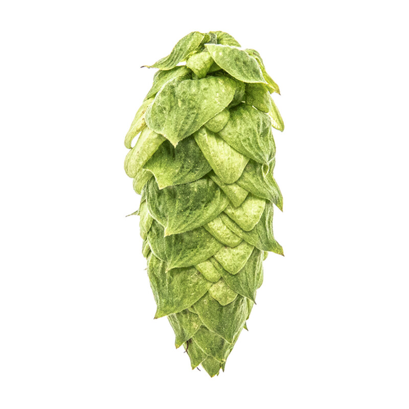Warrior T90 15% AA Hop Pellets - Various Sizes