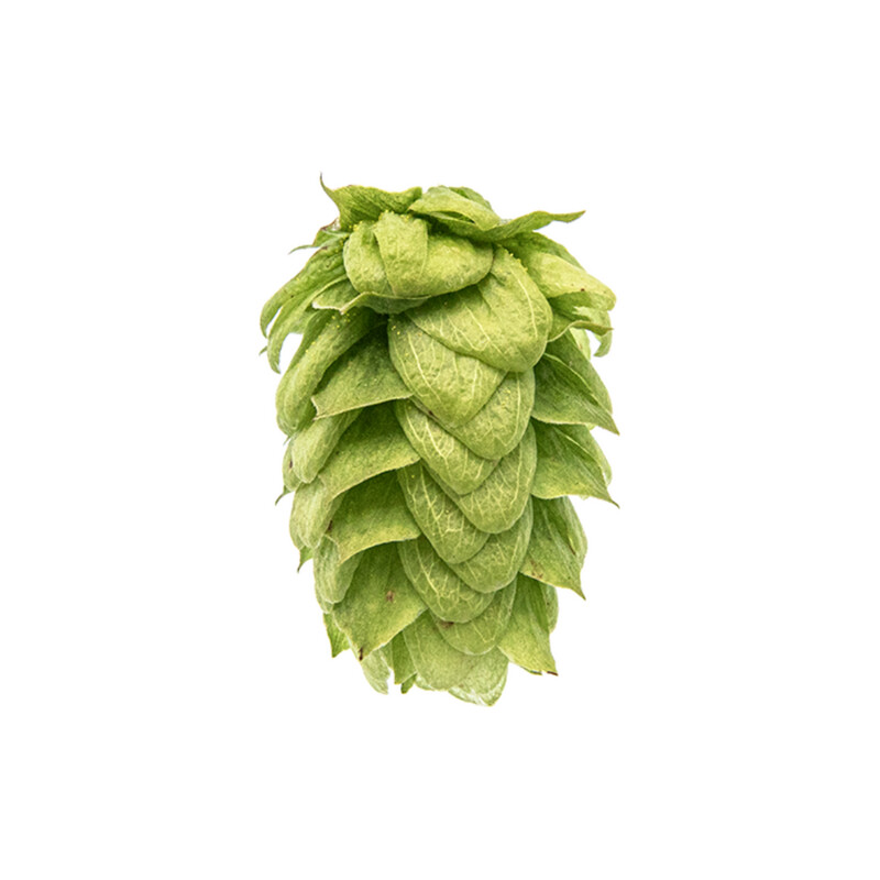 Willamette T90 7.1% AA Hop Pellets - Various Sizes