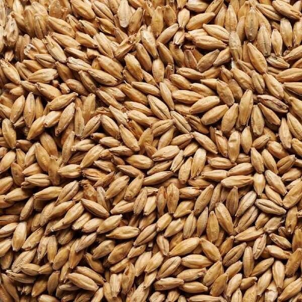 Ale Malt - Barrett Burston 1kg