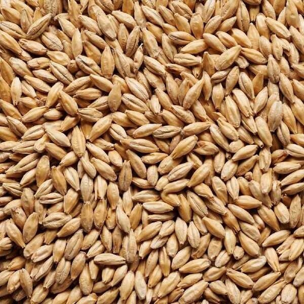 Pale Malt - Barrett Burston 25kg