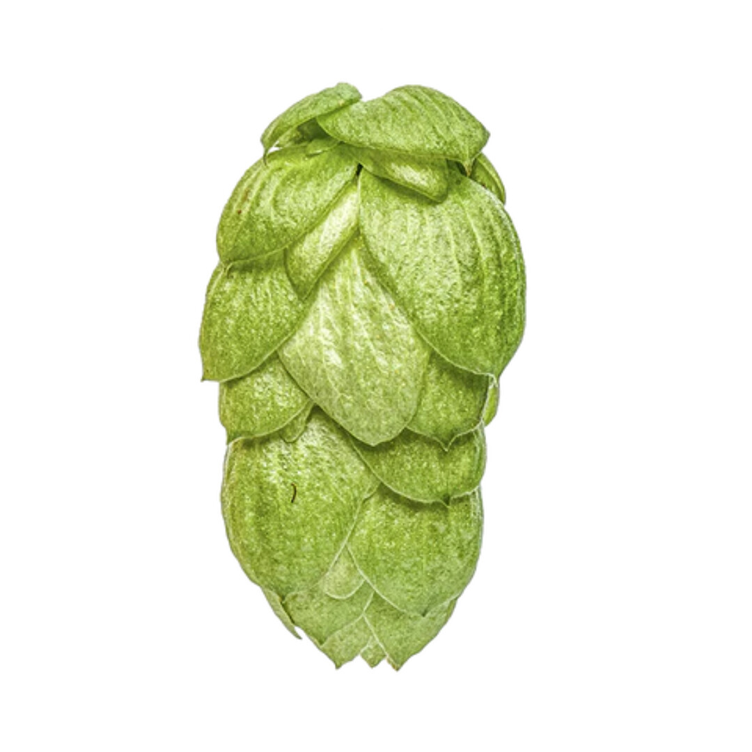 Green Bullet T90 12.3% AA Hop Pellets - Various Sizes