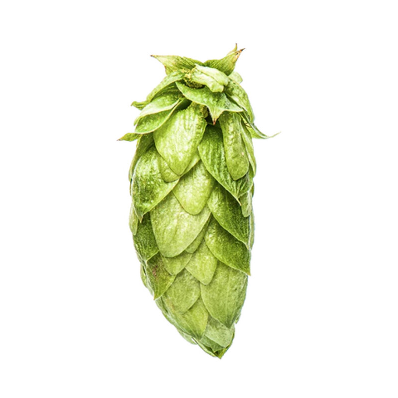 Nectaron T90 10.8% AA Hop Pellets - Various Sizes