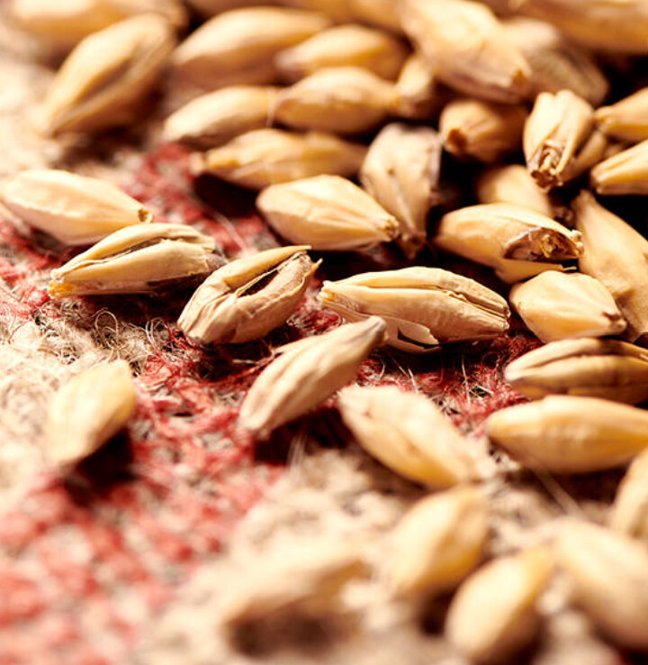 Pilsner Malt - Weyermann 25kg