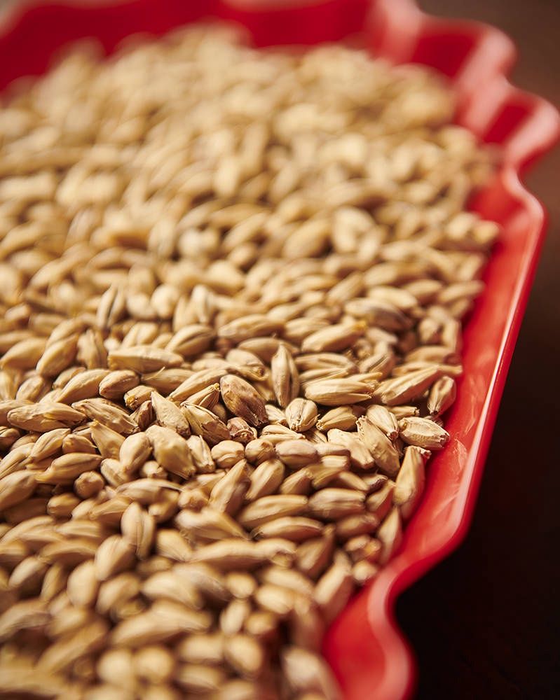Vienna Malt - Weyermann 25kg