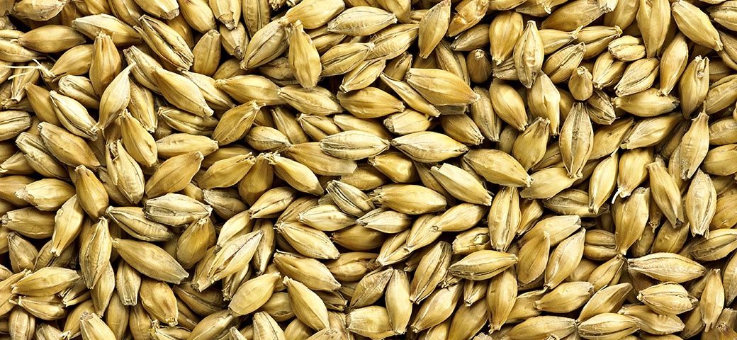 Finest Pale Ale Golden Promise - Simpsons 25kg