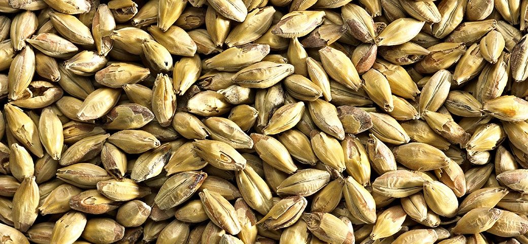 Amber Malt - Simpson&#39;s 1kg