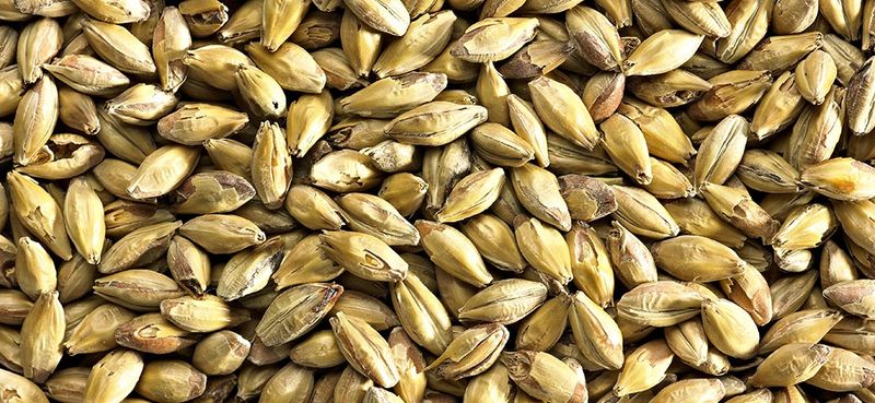 Amber Malt - Simpson's 1kg