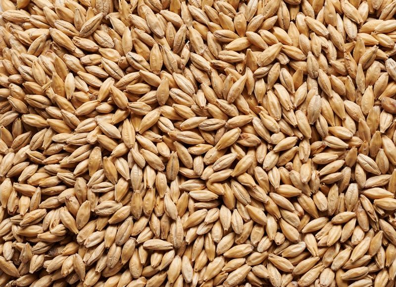 Distillers Pale Malt - Barrett Burston 1kg